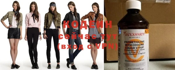 прущие грибы Туринск