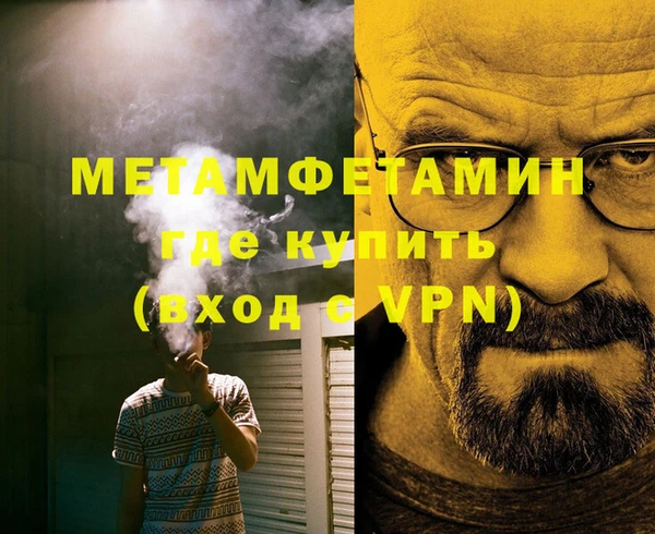 прущие грибы Туринск