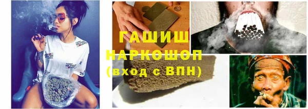 прущие грибы Туринск